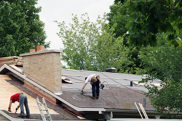 Best Roof Gutter Cleaning  in Fort Loramie, OH